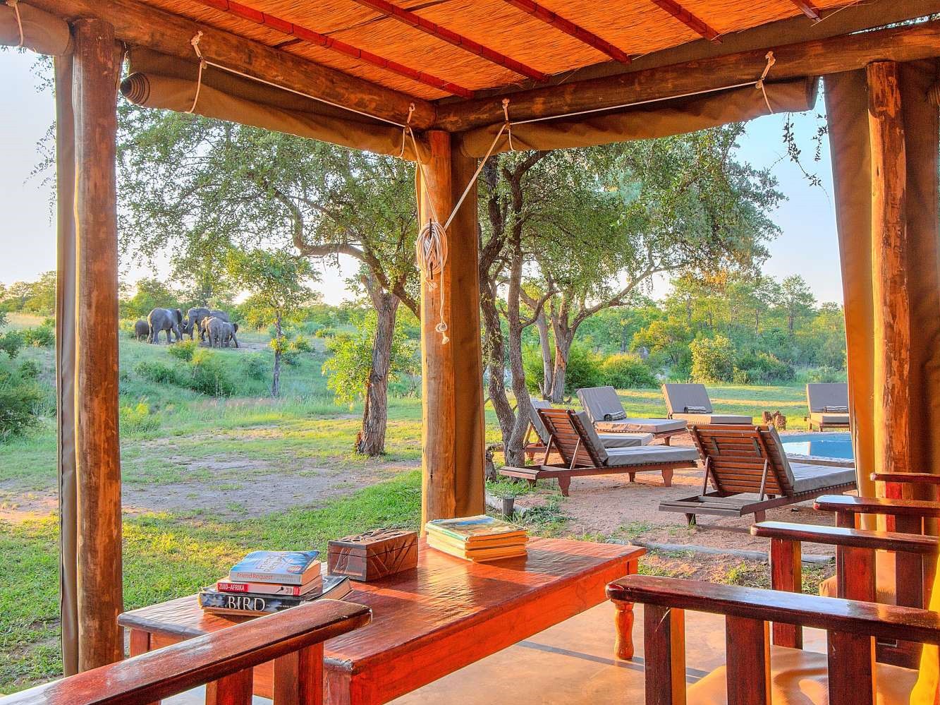 Shindzela Safari Camp - Timbavati