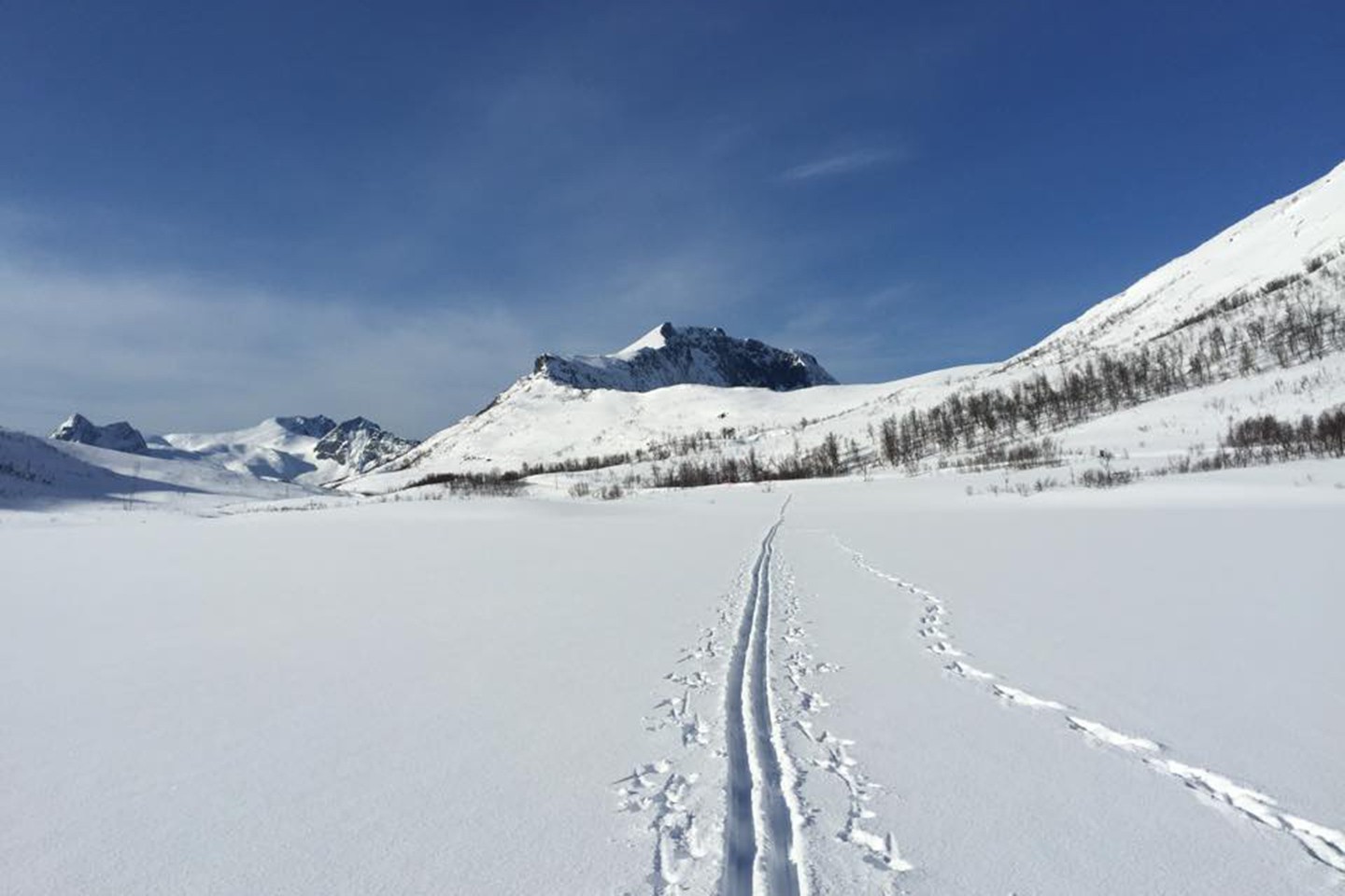 Ski-Touring Mefjord Brygge