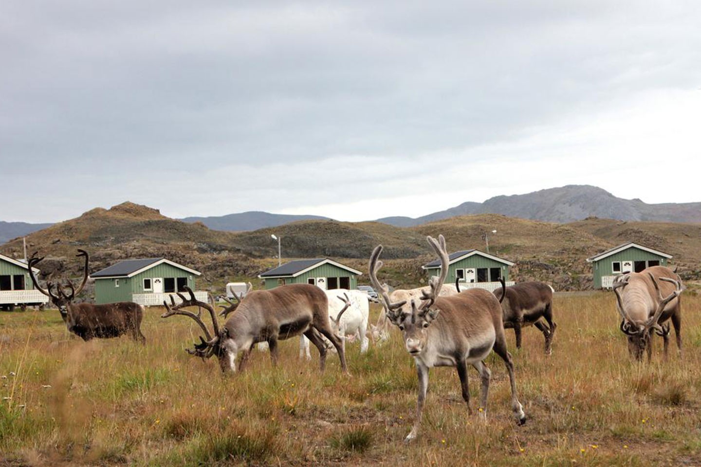 Skipsfjord, Nordkapp Camping kampeerhutten