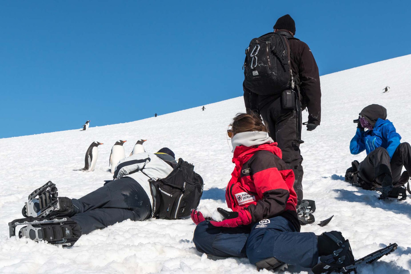 Sneeuwschoenwandelen Antarctica