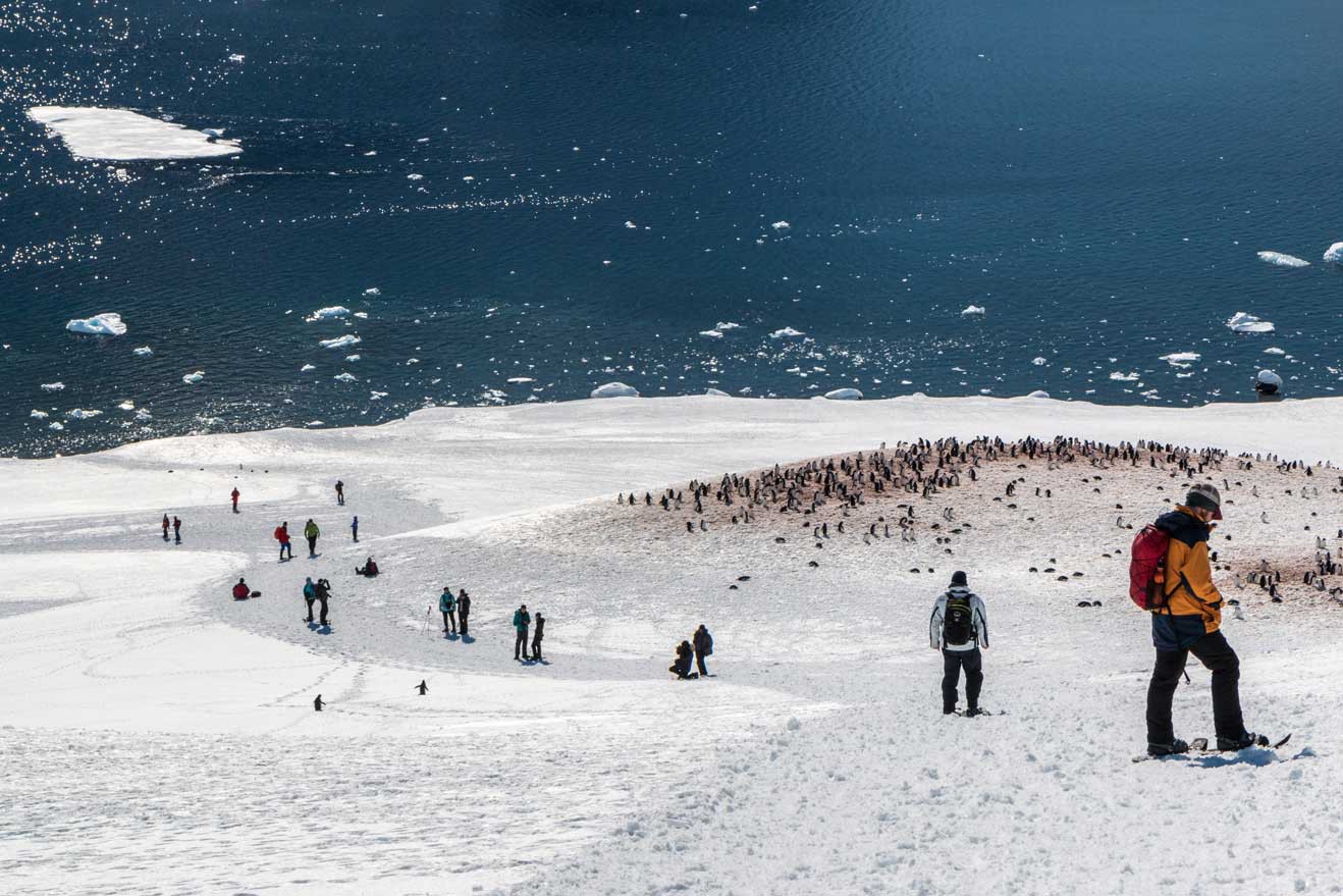 Sneeuwschoenwandelen Antarctica