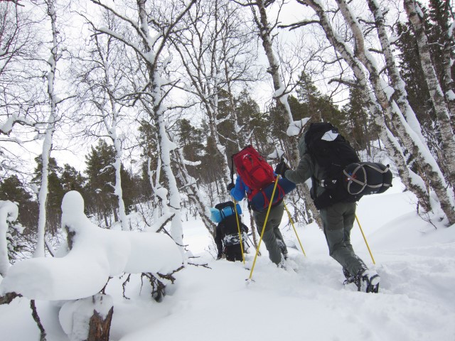 Afbeelding van Sneeuwschoenwandelen Zweden Fredrik Broman On Snowshoes 446