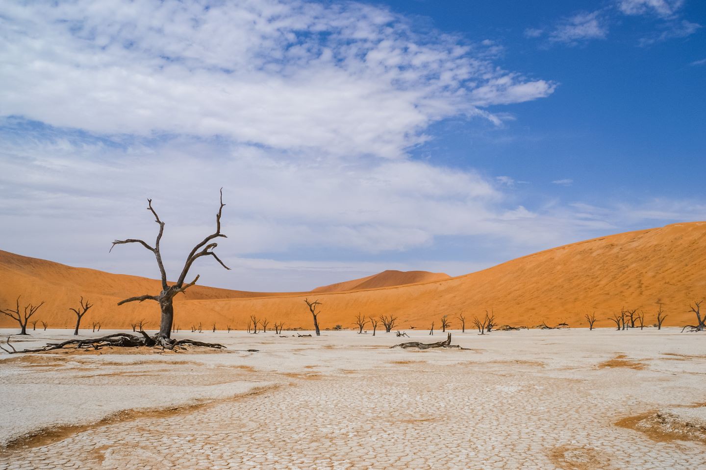 Afbeelding van Sossusvlei Deadvlei Suid Afrika Reise