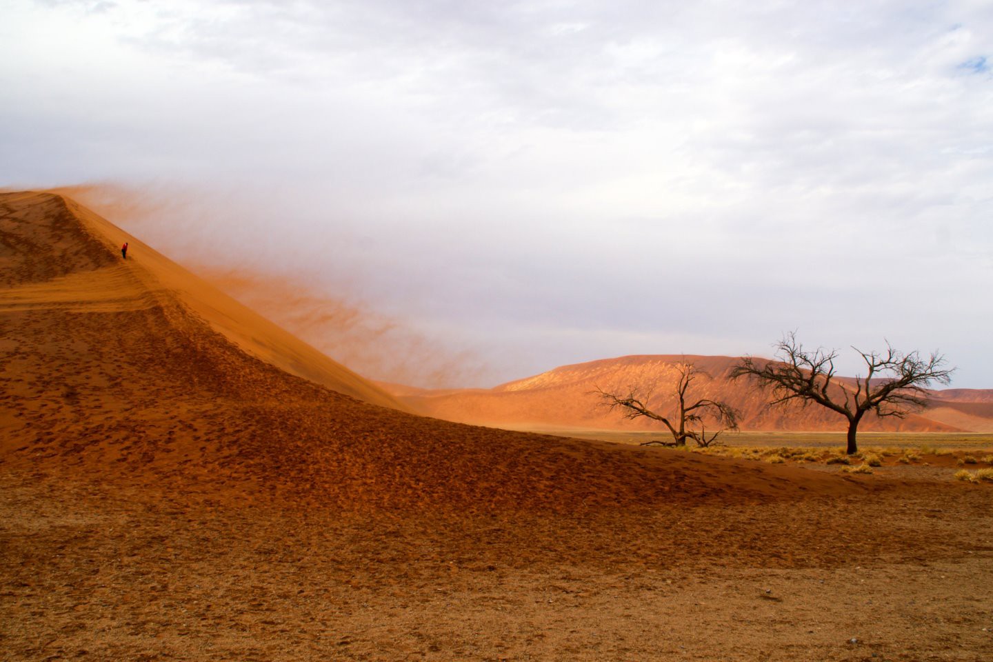 Afbeelding van Sossusvlei Duin 45 Suid Afrika Reise