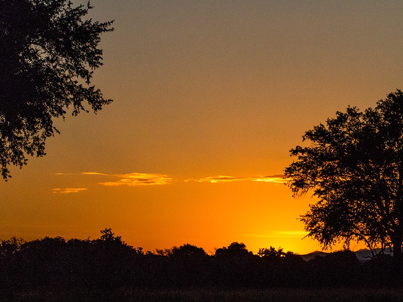 South Luangwa Nationaal Park