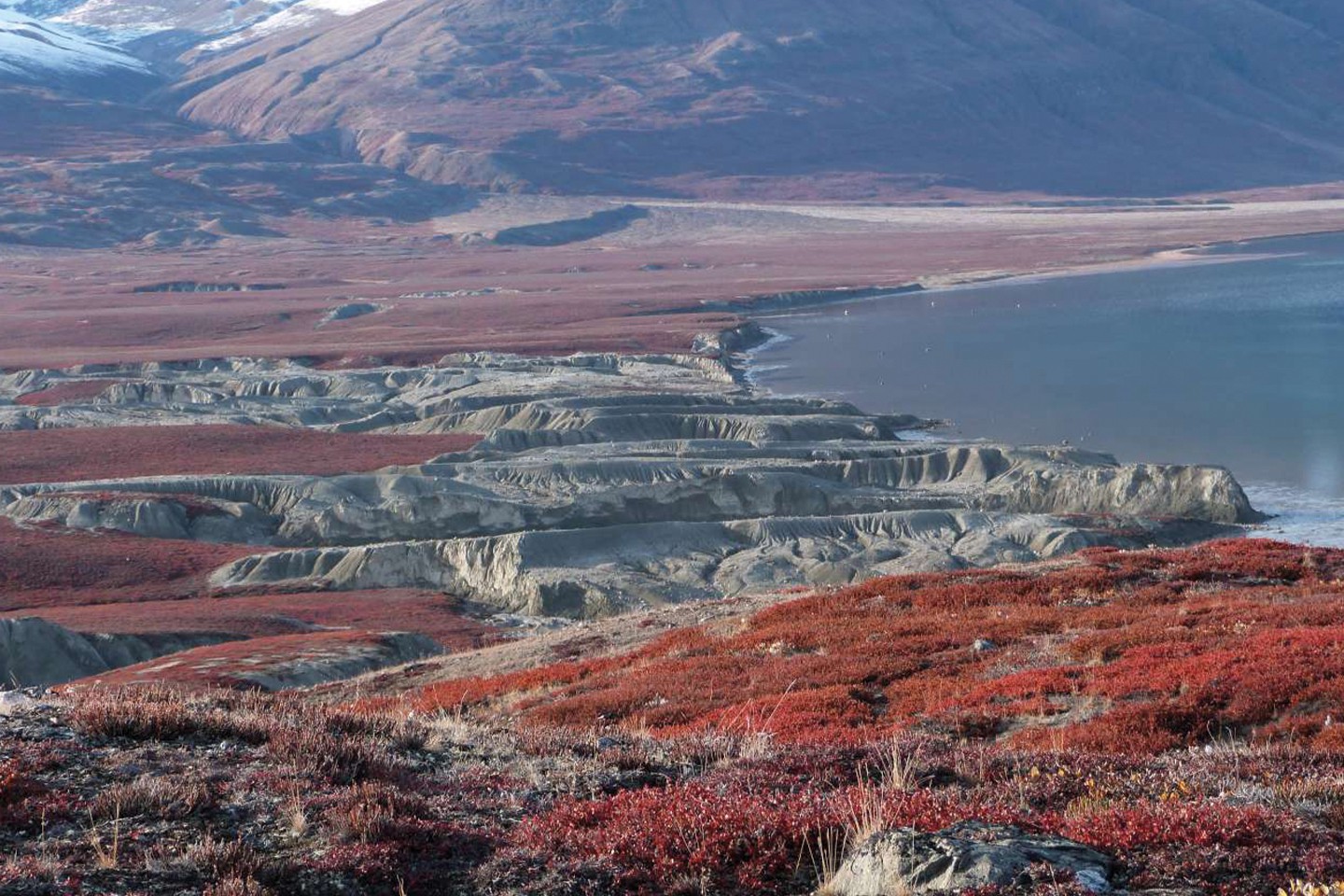 Afbeelding van Spitsbergen En Groenland Northeast Greenland%2C Rypefjord Rocks %C2%A9 Victoria Salem Oceanwide Expeditions