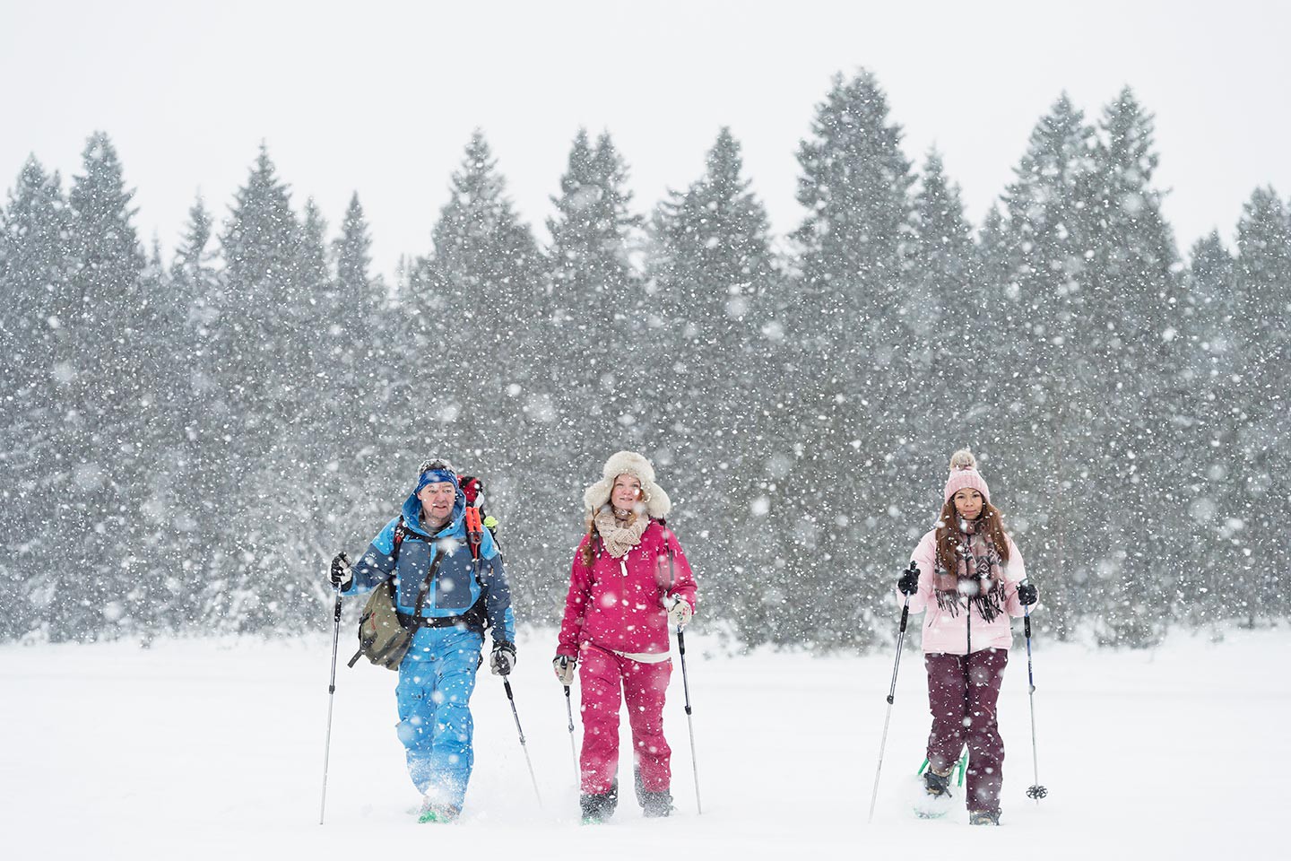 Afbeelding van Stine Hoofdafbeelding Anna Ohlund Snowshoeing With A Guide