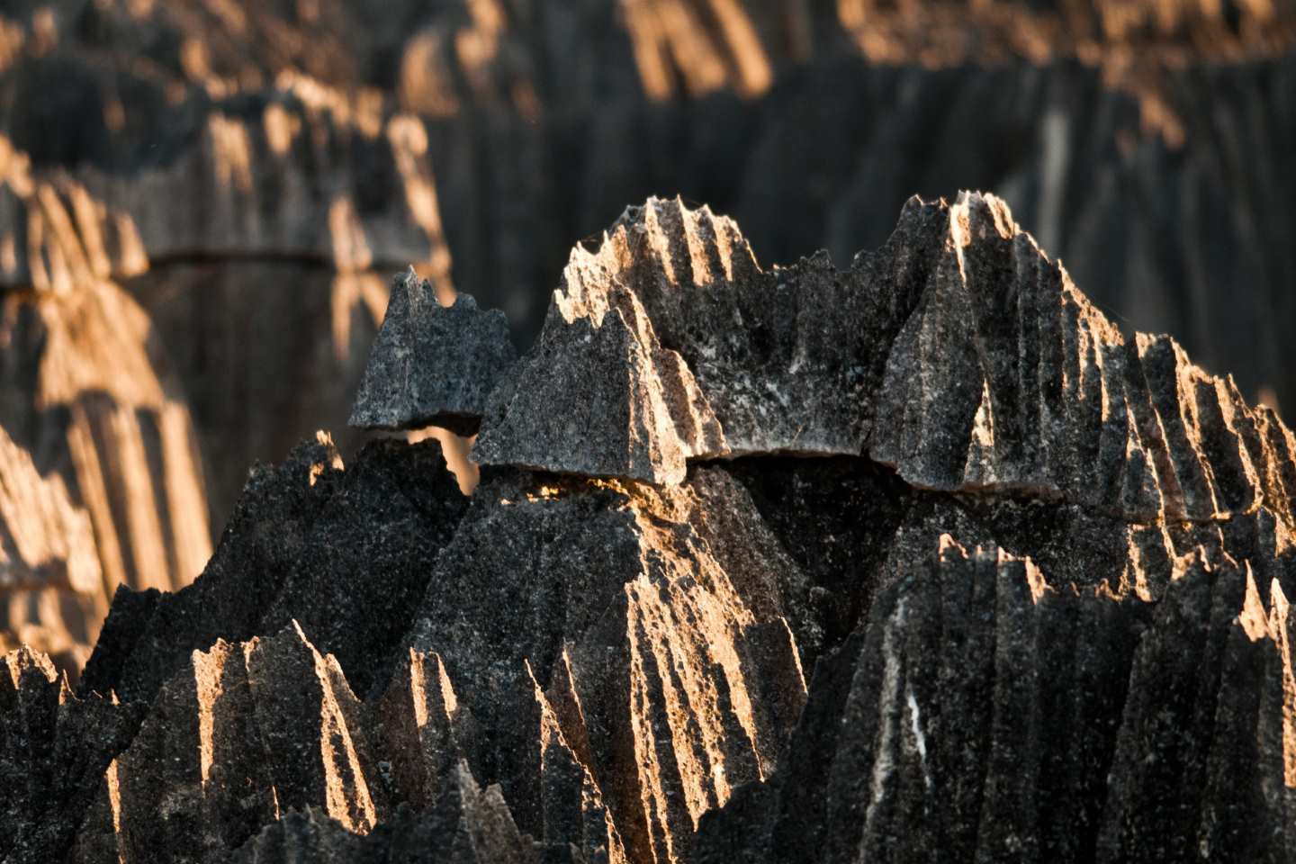 Tsingy de Bemaraha National Park