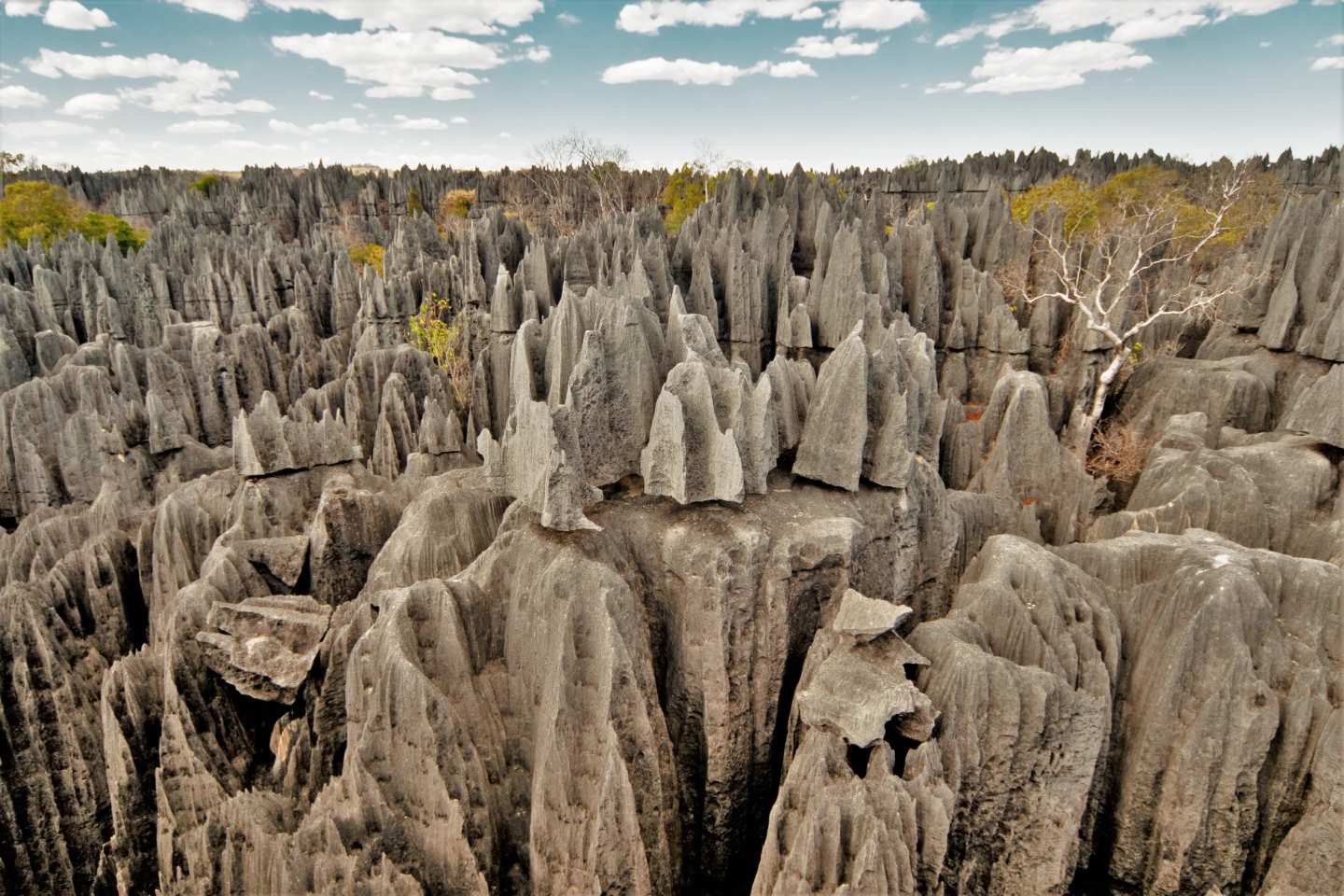 Tsingy de Bemaraha National Park