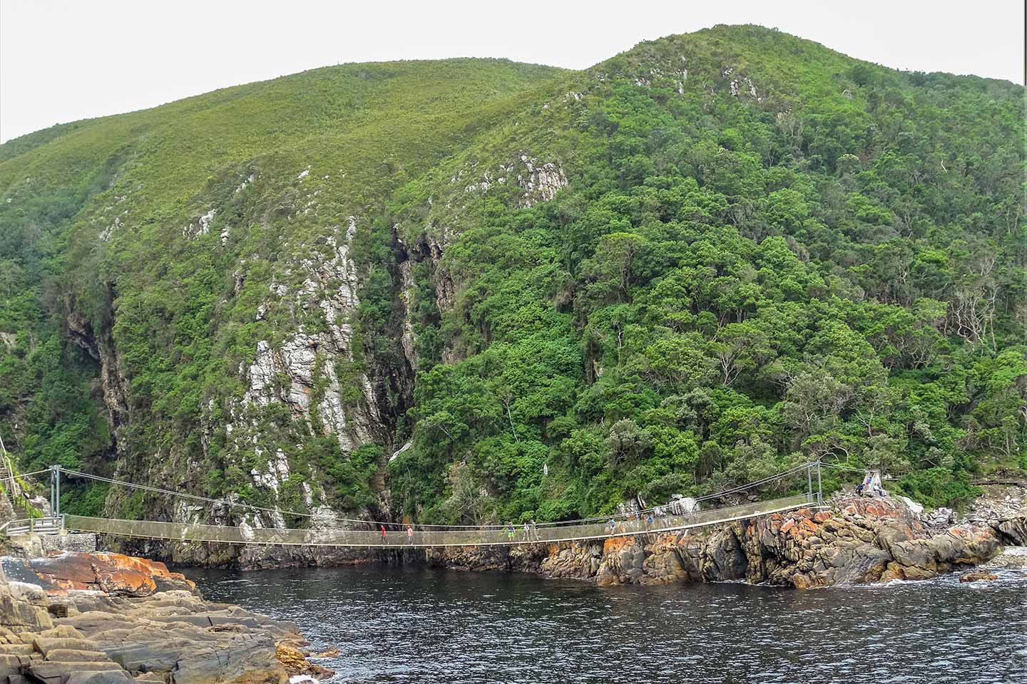 Afbeelding van Tsitsikamma Hangbrug Storms River Oerbos Oostkaap Zuid Afrika Suid Afrika Reise Douwe Baas