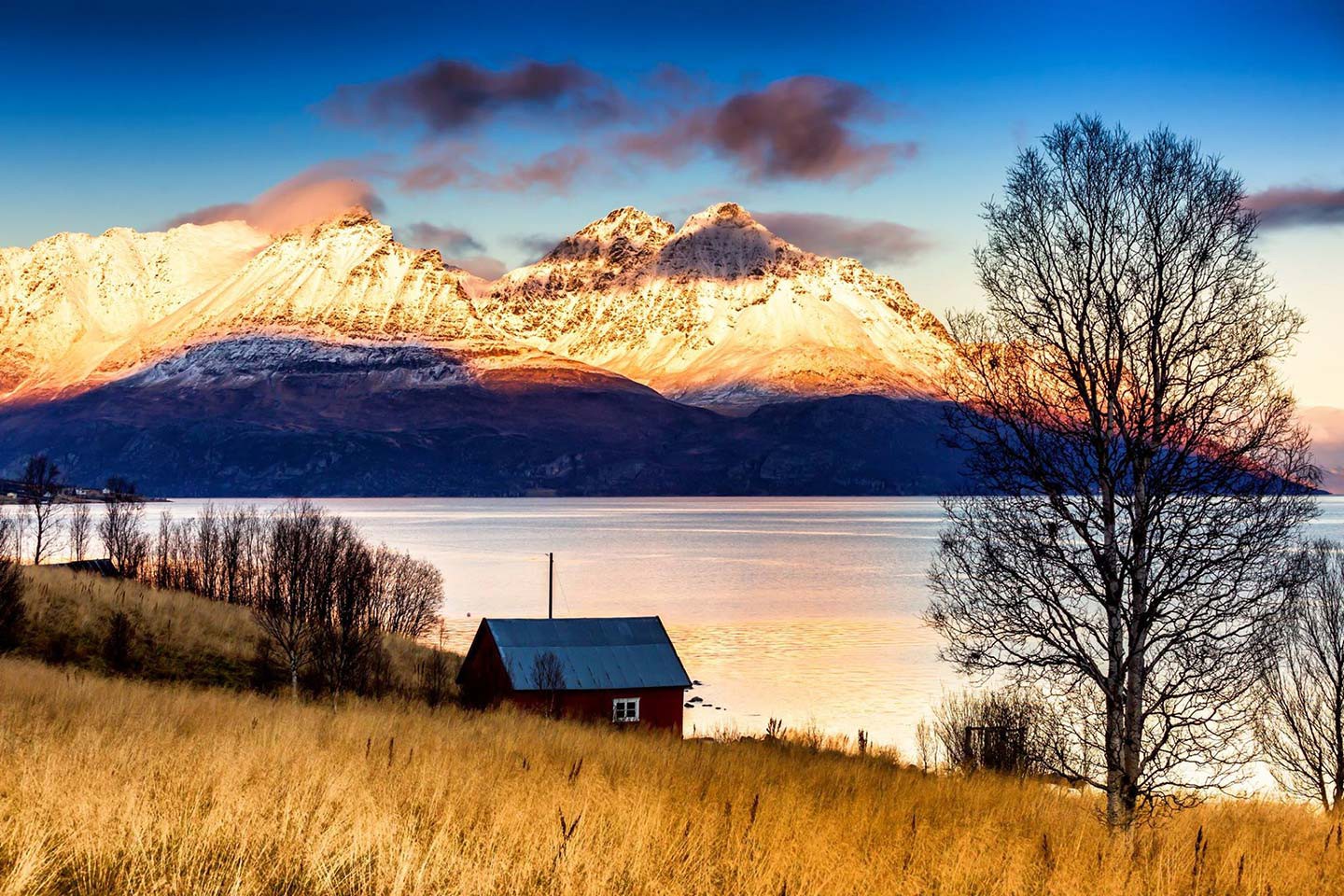 Uløybukt, Arctic Panorama Lodge