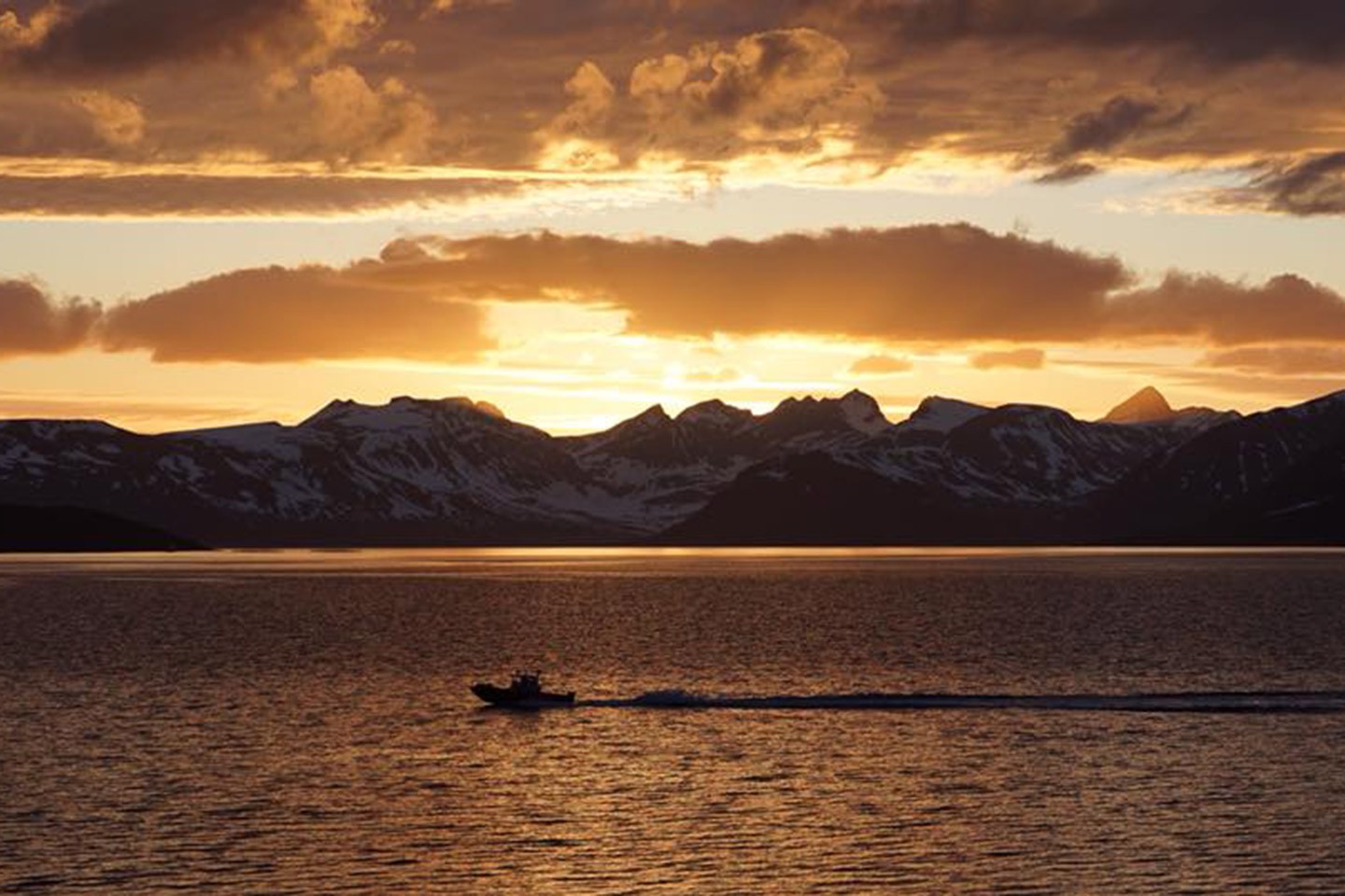 Uløybukt, Arctic Panorama Lodge