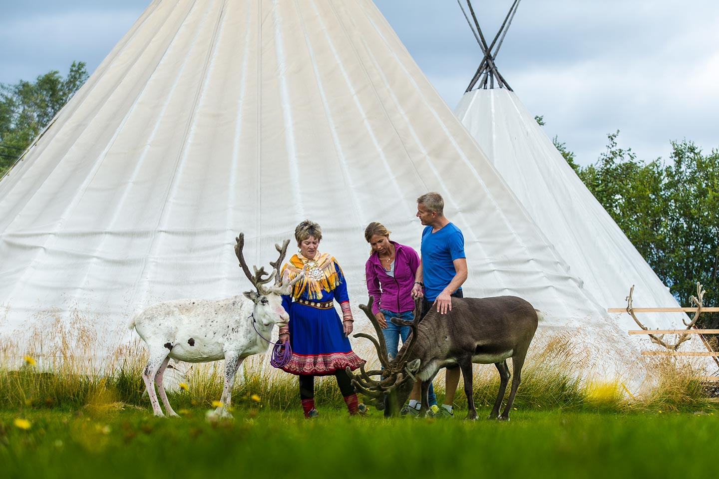 Afbeelding van Vidar Visiting The Sami Reindeer Camp CH VisitNorway