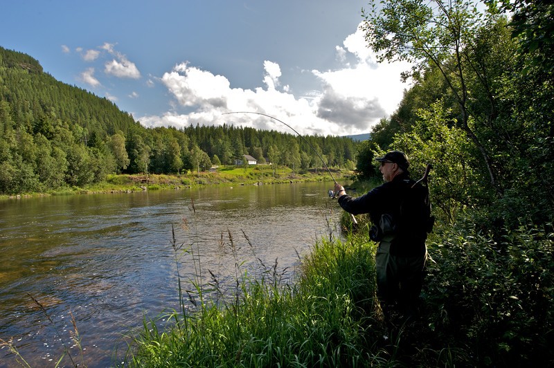 Afbeelding van Vissen Noorwegen Yngve Ask DSC3324 133456 800