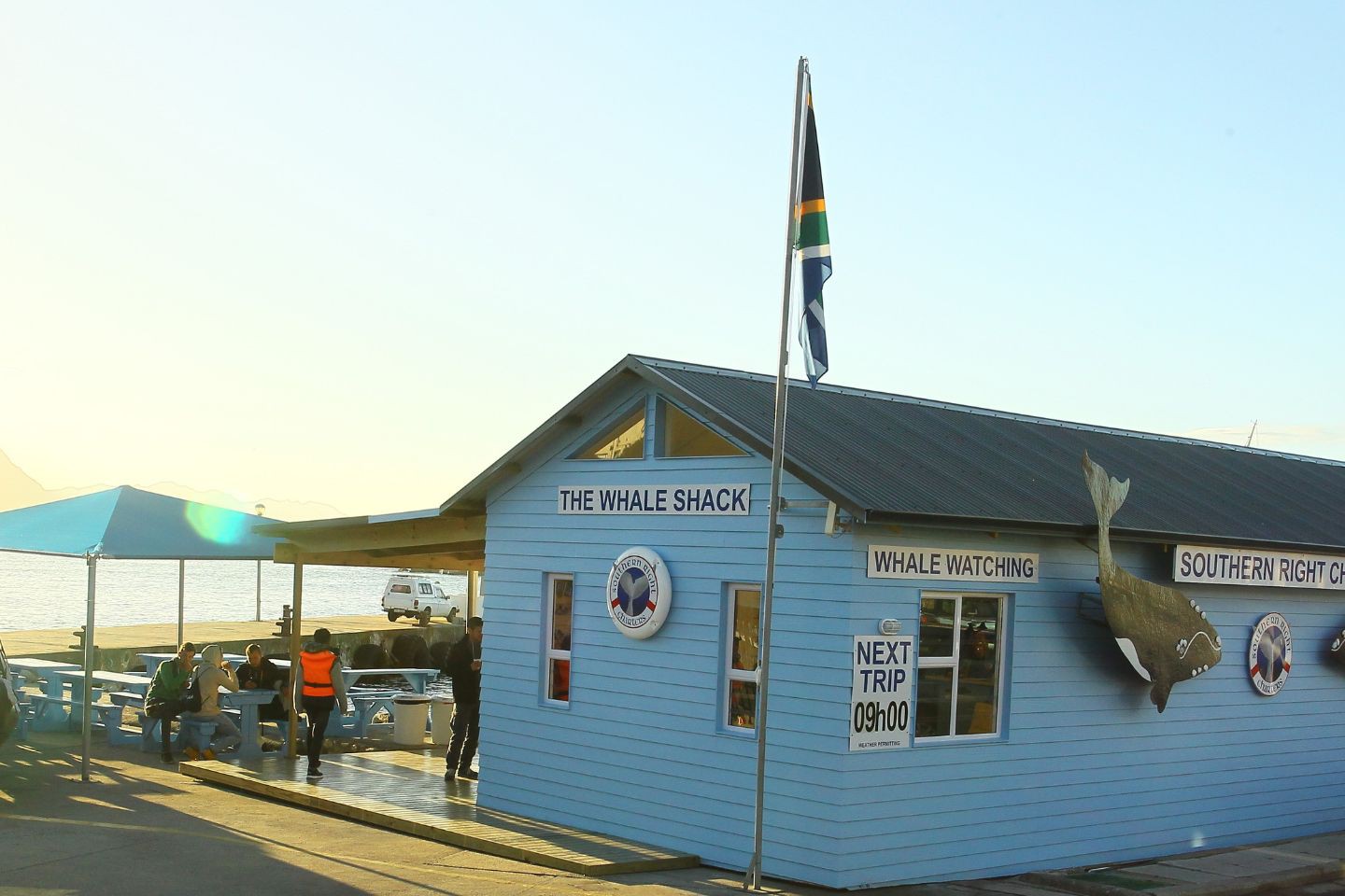 Afbeelding van Walvis Southern Right Charters Hermanus Whale Shack