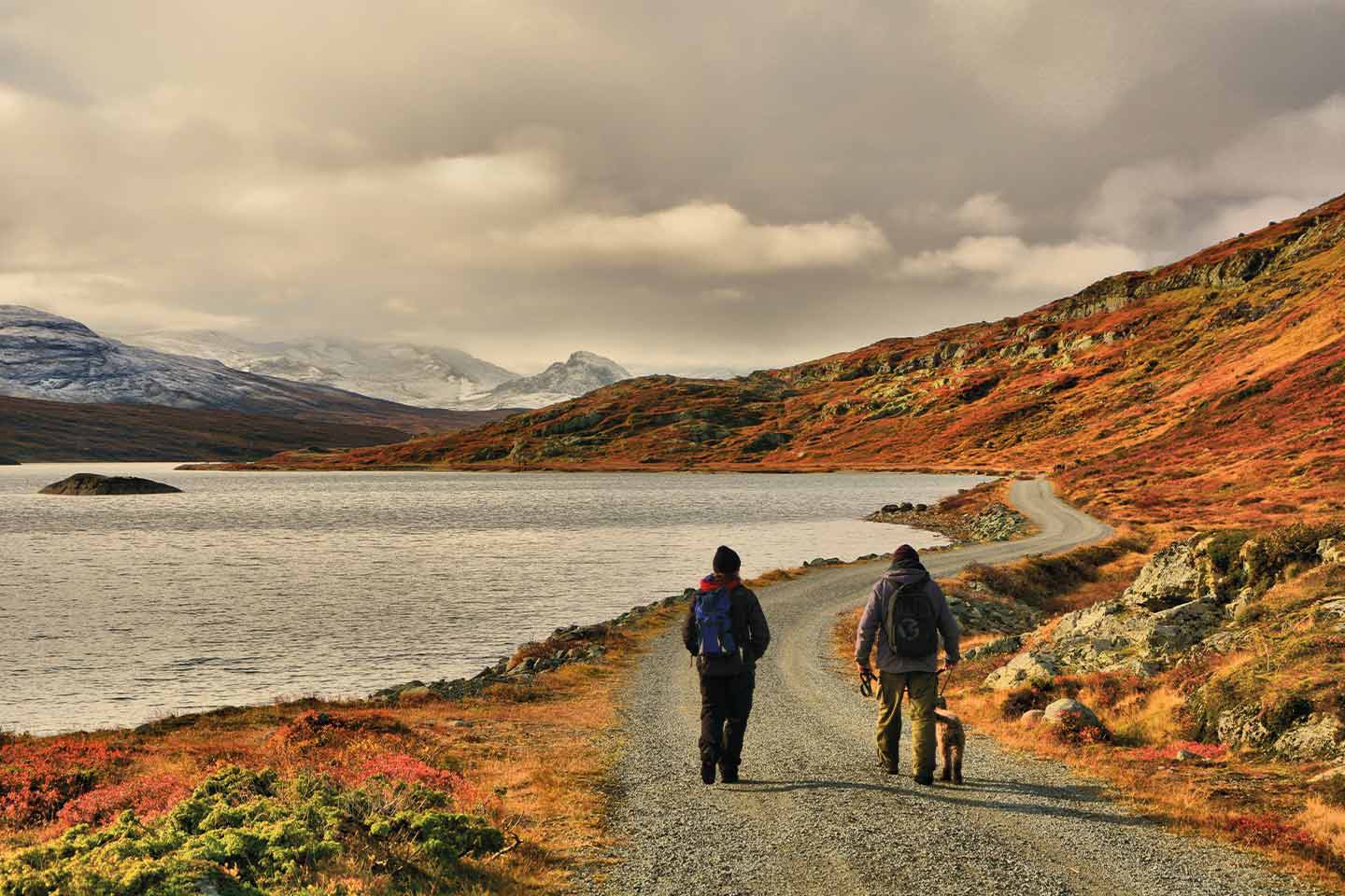 Afbeelding van Wandelreis Frigg Hiking In Jotunheimen Foap Visitnorway