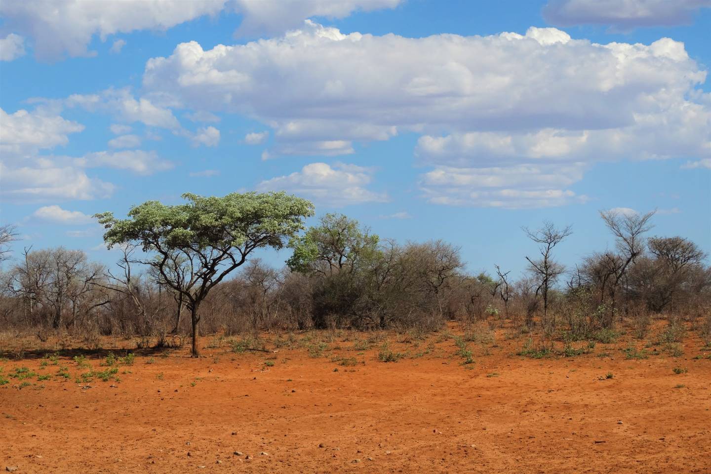 Waterberg Plateau Park