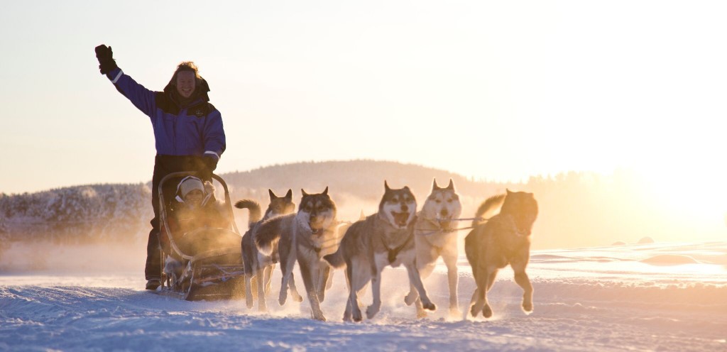 Hondensledetocht - Inari, Muotka, Nellim, Nangu, Juutua