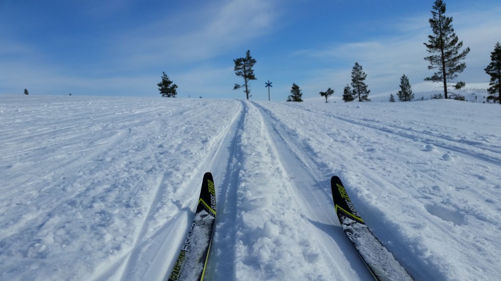 Langlaufen - Inari, Muotka, Nellim, Nangu