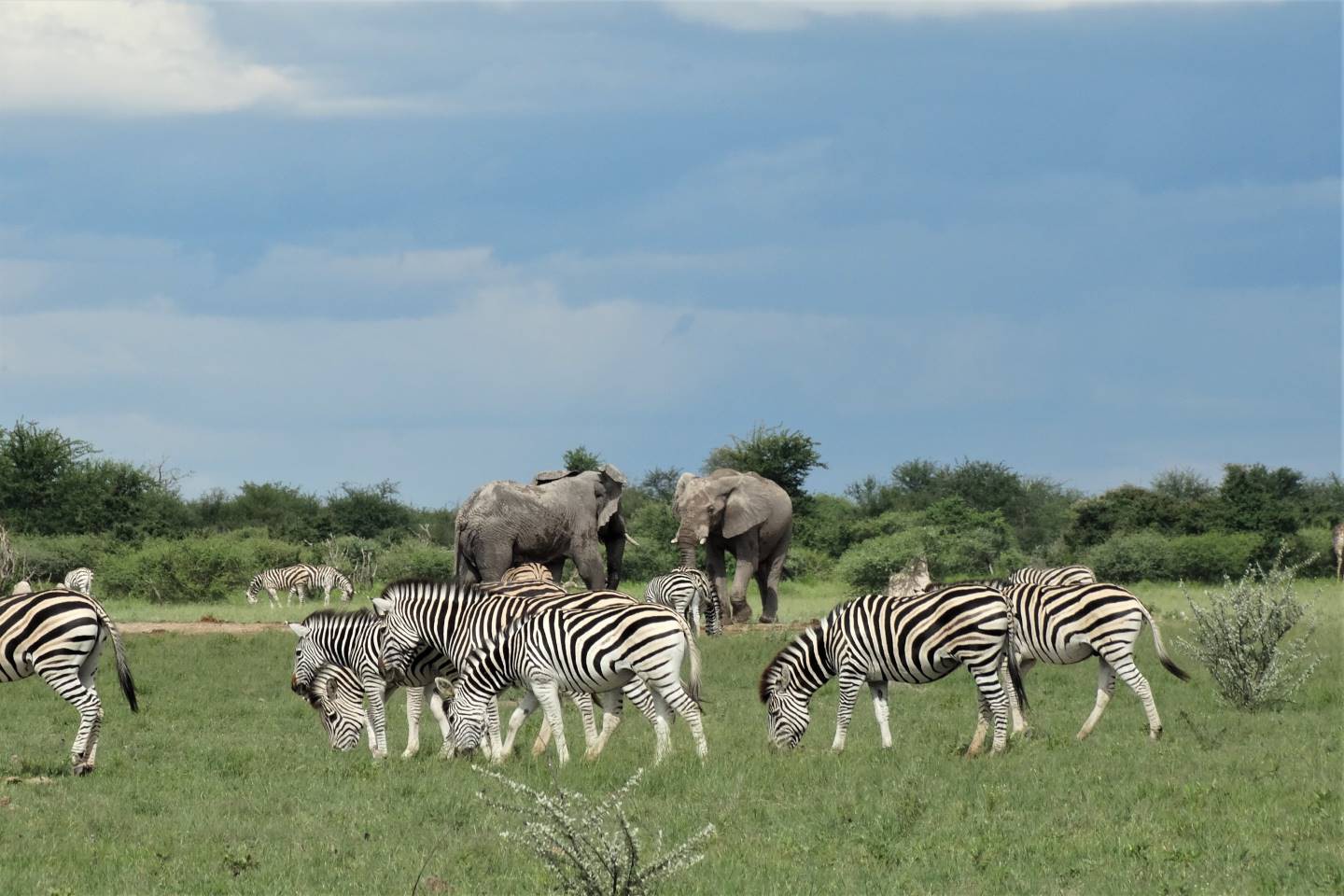 Makgadikgadi en Nxai Pans National Park