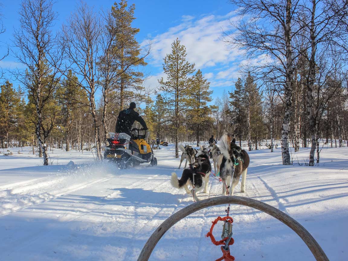 Afbeelding van Winteractiviteiten Finland