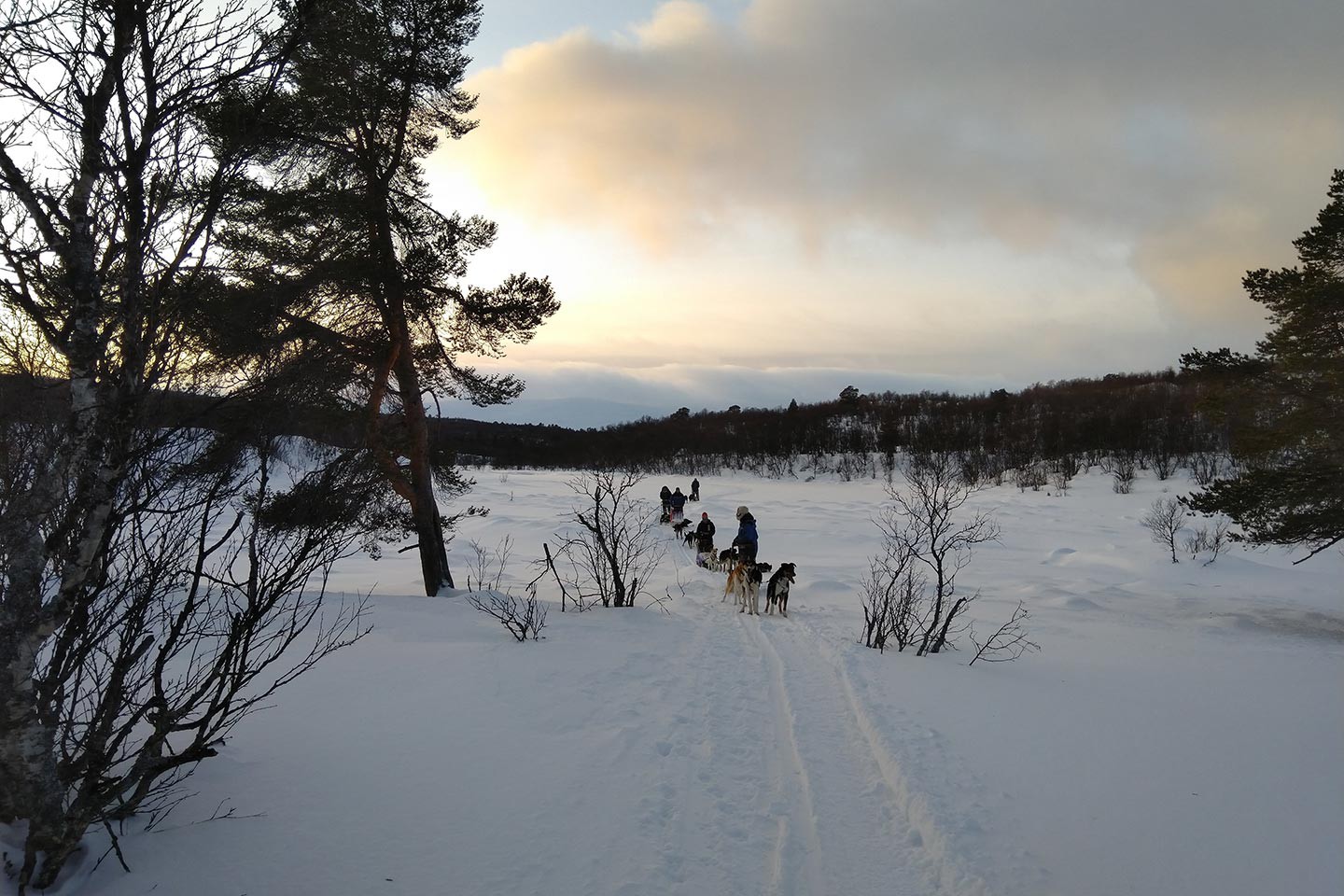 Afbeelding van Winteravontuur Fjallnas Zweden Liam 6