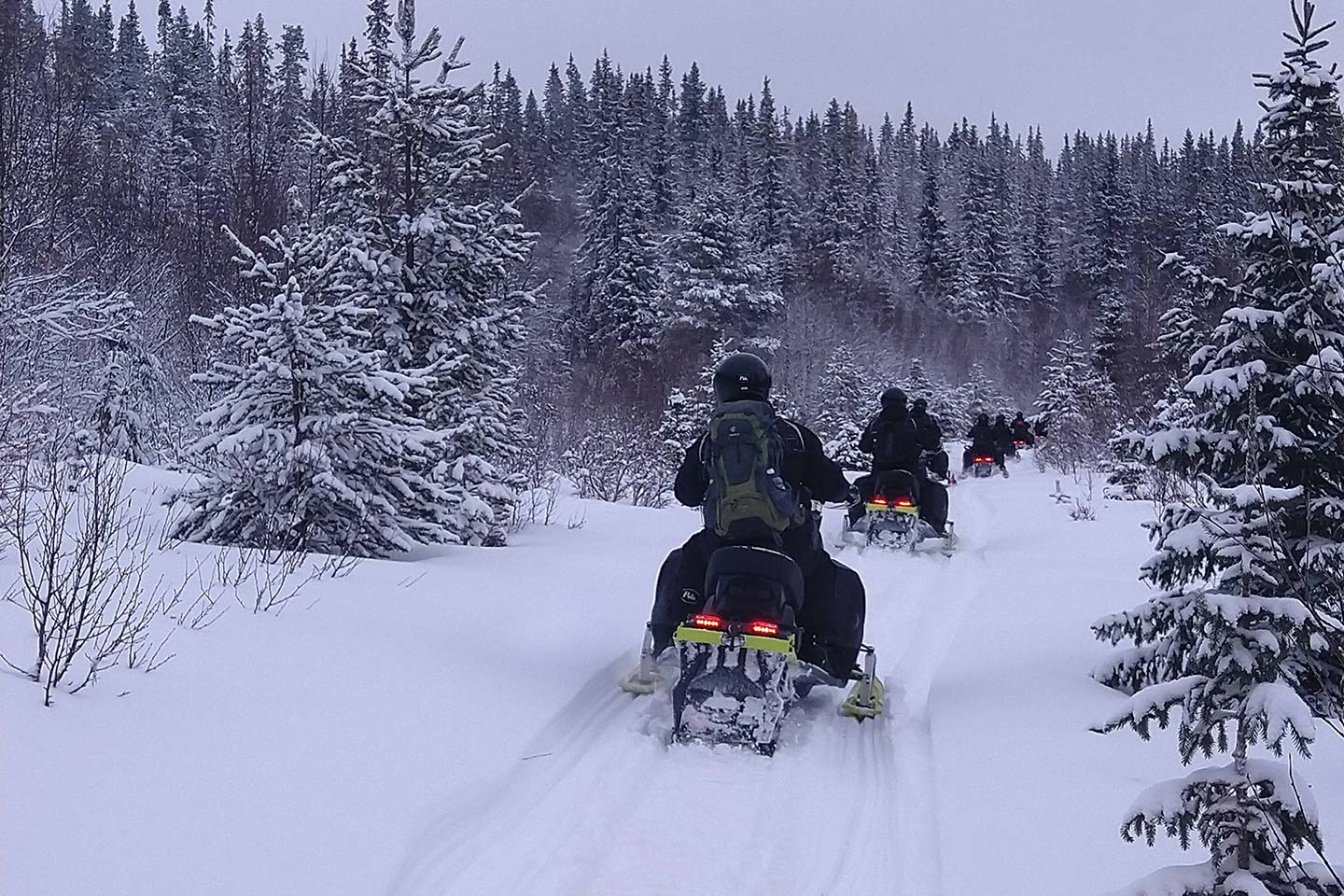 Afbeelding van Winteravontuur Fjallnas Zweden Liam 7