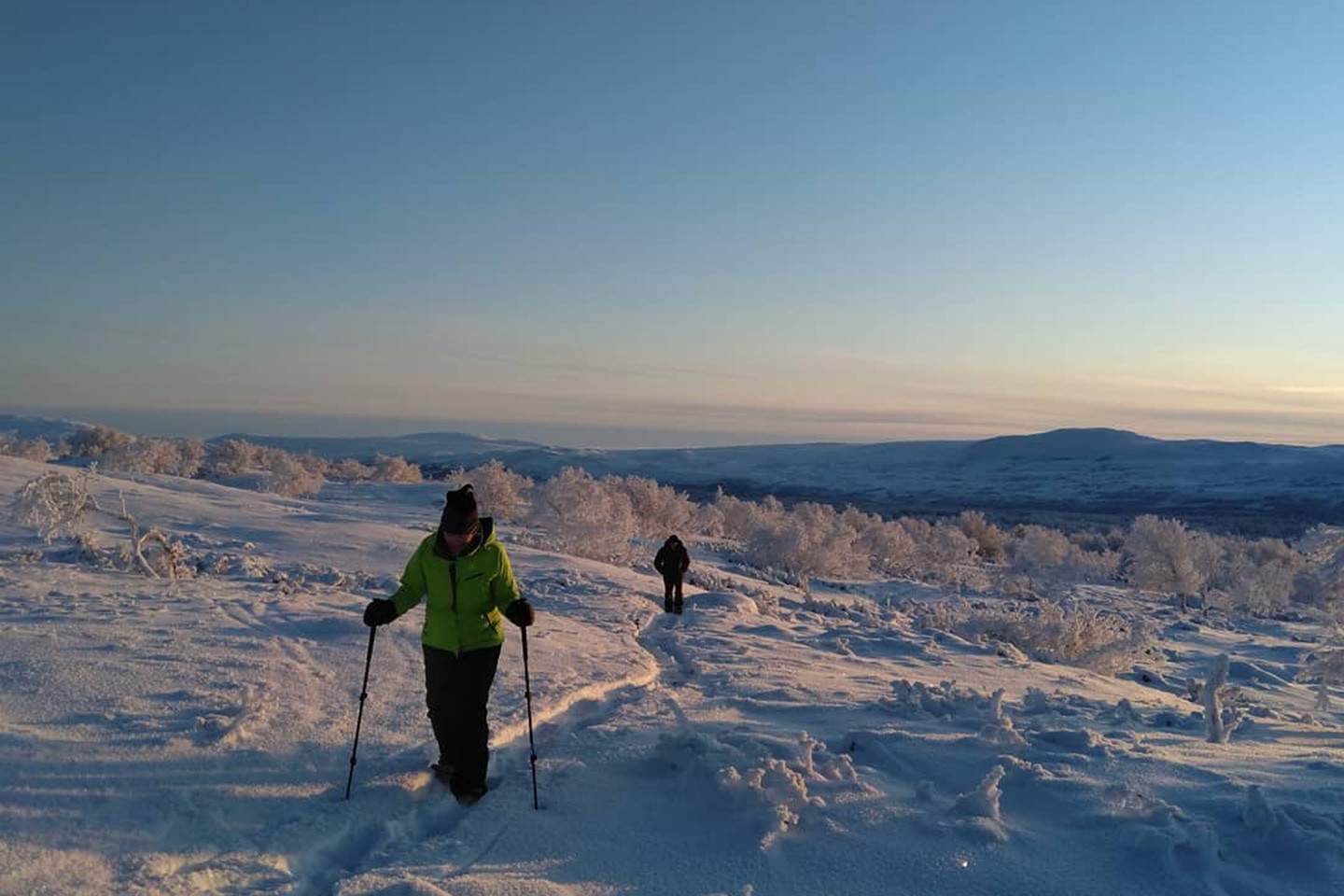 Afbeelding van Winteravontuur Fjallnas Zweden Sneeuwschoenwandelen