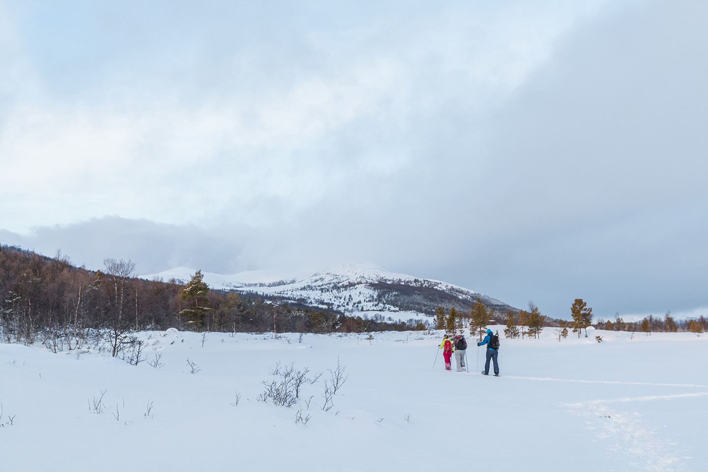 Wintersport in Lemonsjø