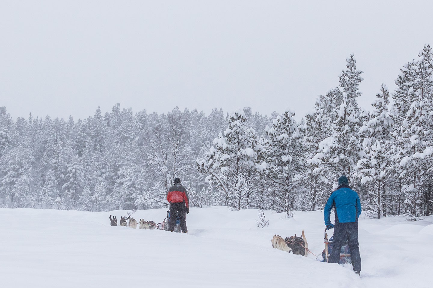 Wintersport in Lemonsjø