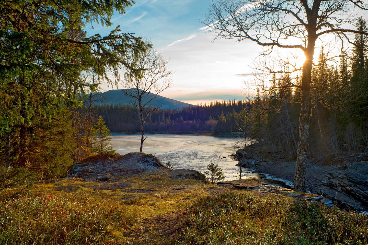 Afbeelding van Yngvi Gosta Reiland Icy River