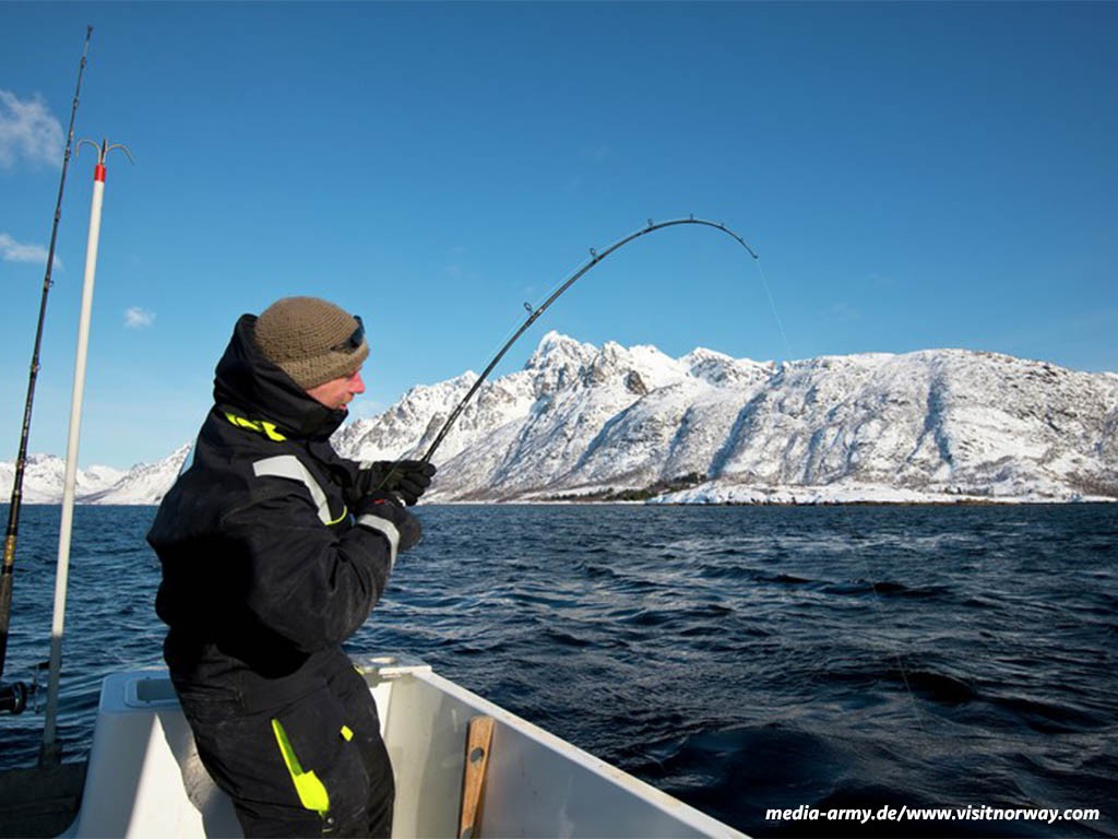 Afbeelding van Zeevissen Noorwegen Media Army Visitnorway