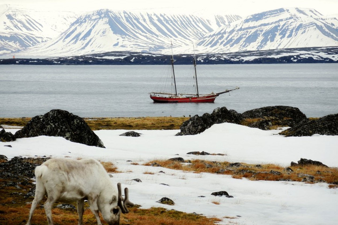 Afbeelding van Zeilreis Spitsbergen Rond Noorderlicht Jan Belgers 1