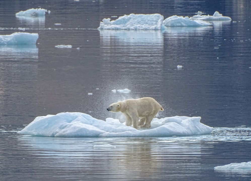 Afbeelding van Zeilvakantie Spitsbergen Zeilschip Antigua Arctische Lente