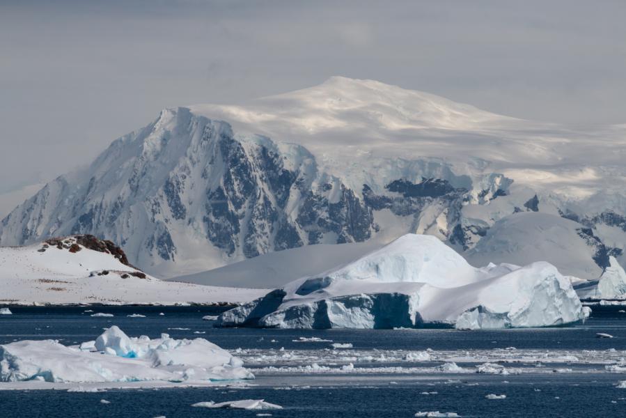 Antarctica November