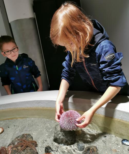 Aquarium Alesund Noorwegen Kinderen