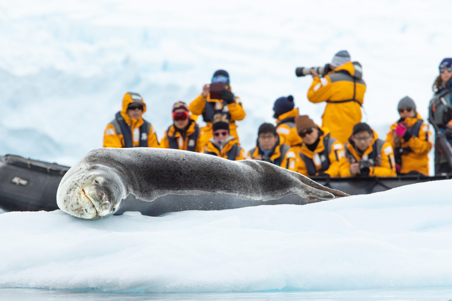 Afbeelding van Beste Reistijd Antarctica