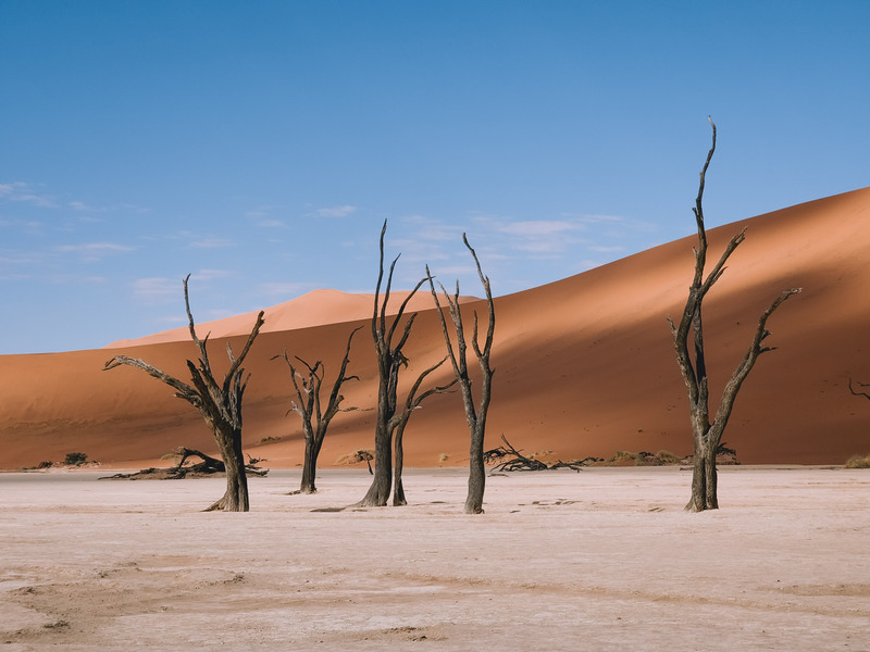 $gallerysplittitle Deadvlei Namibi%C3%AB