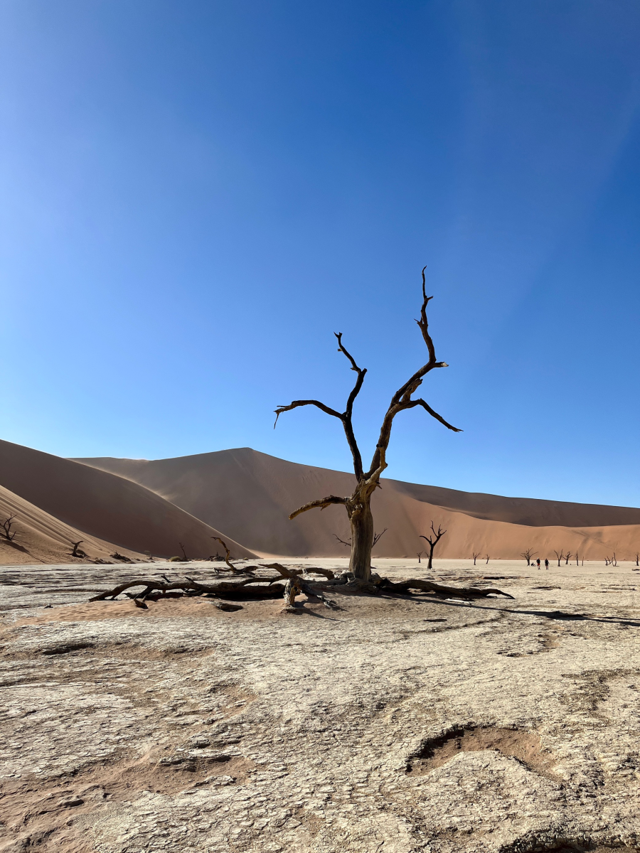 Deadvlei Namibi%C3%AB