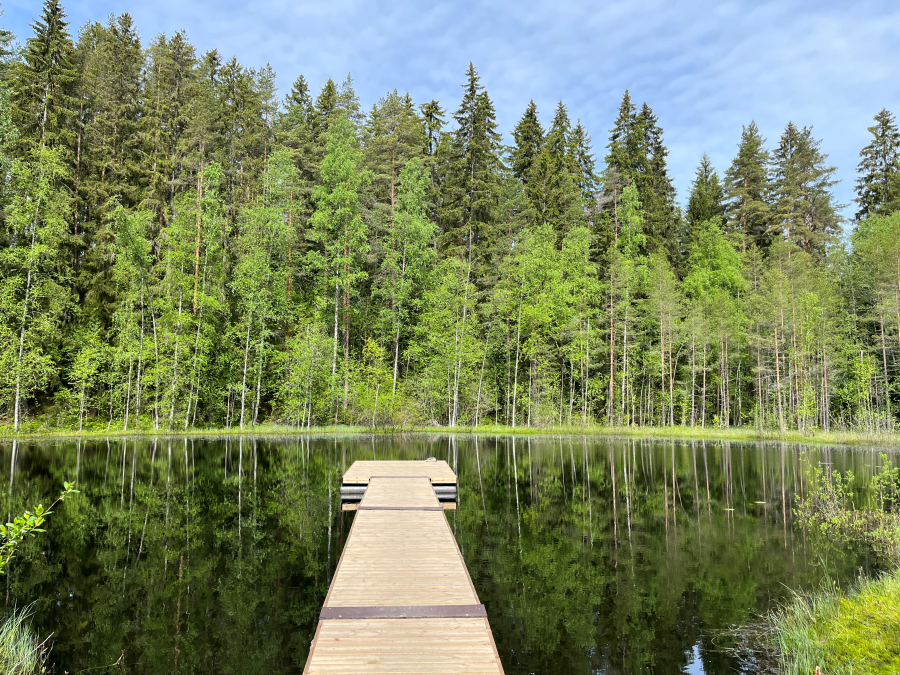 Afbeelding van Finland