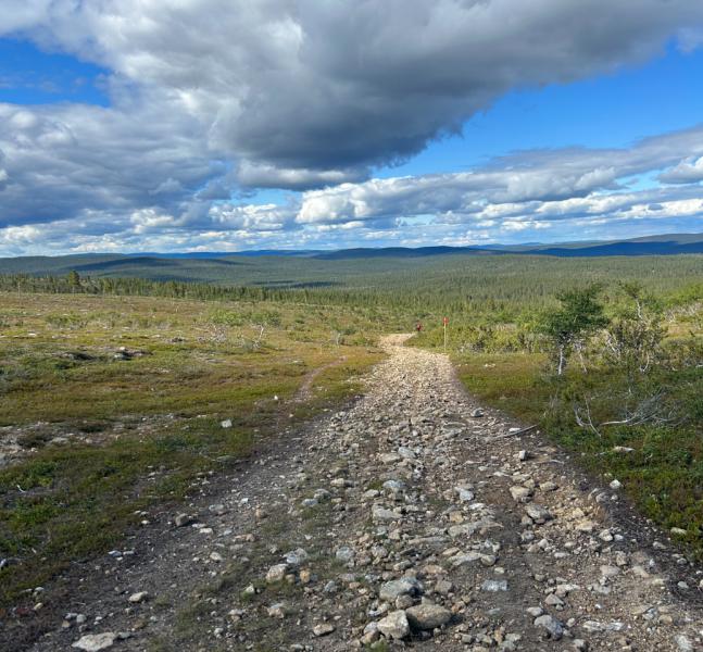 Fins Lapland  Laplandsafari%27s Fatbike