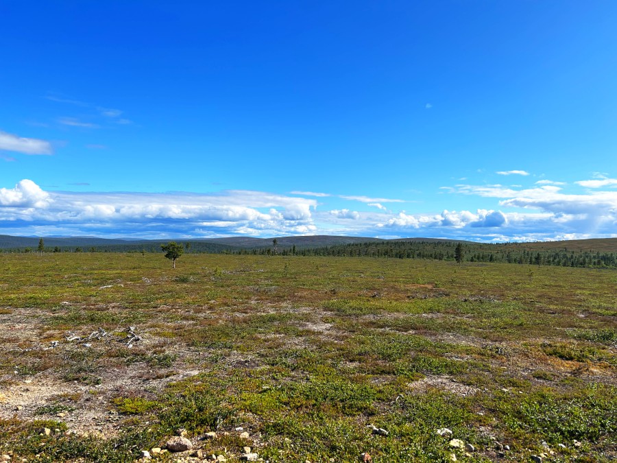 Afbeelding van Fins Lapland Laplandsafari%27s Saariselka E Fatbike