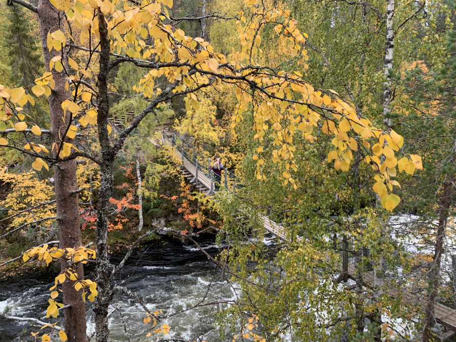 Afbeelding van Herfst Ruka Finland