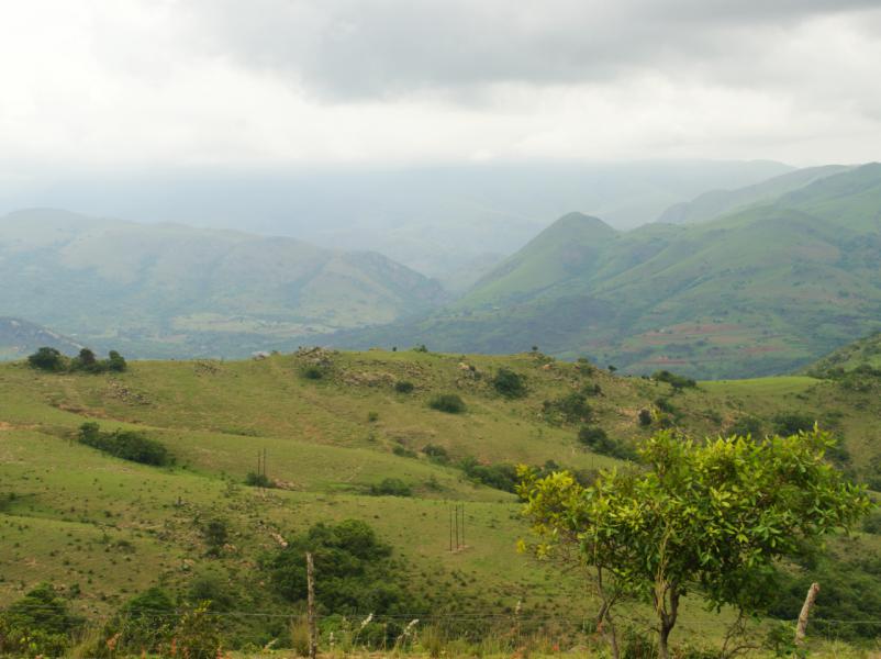 Hlane Game Reserve