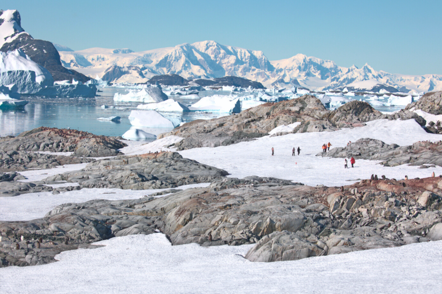Afbeelding van Landingen Expeditiereis Antarctica