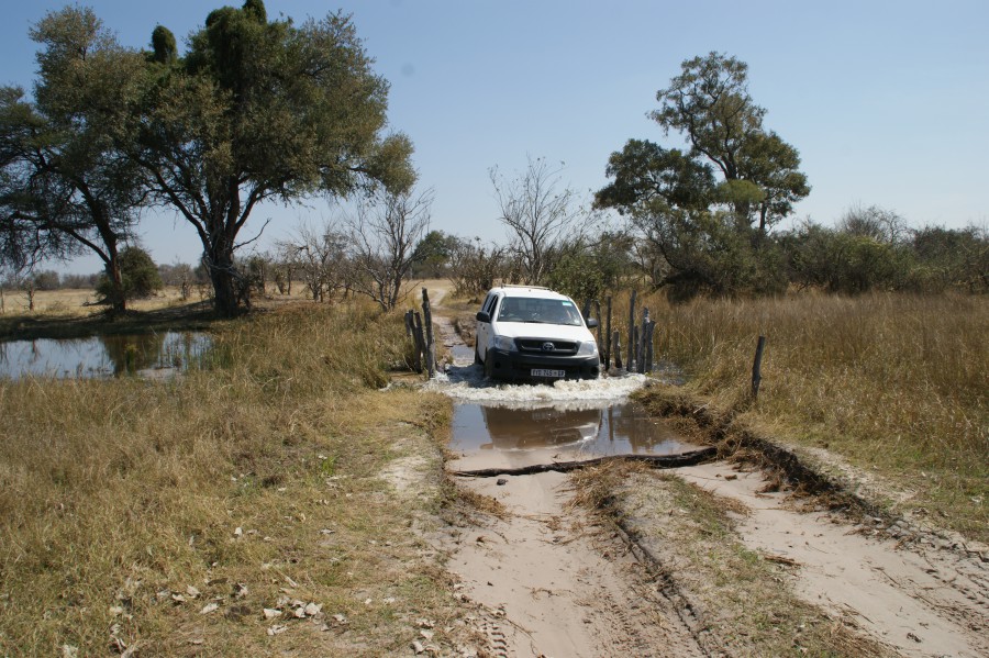 Afbeelding van Maun   Moremi 081