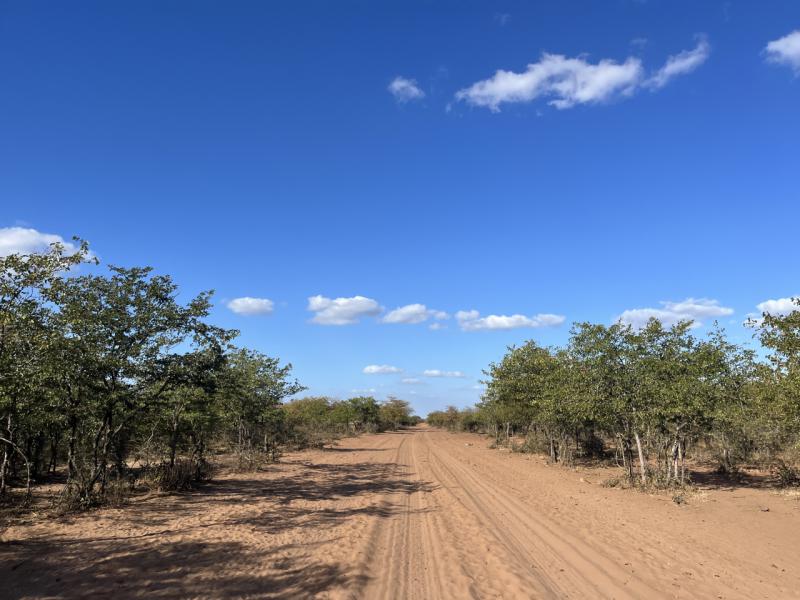 Mozambique Limpopo NP 4