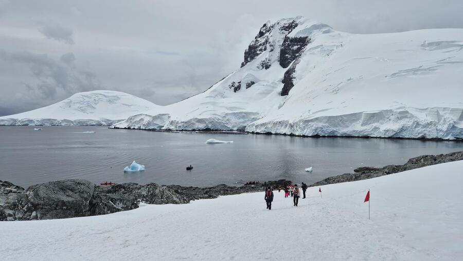 Palaver Antarctica
