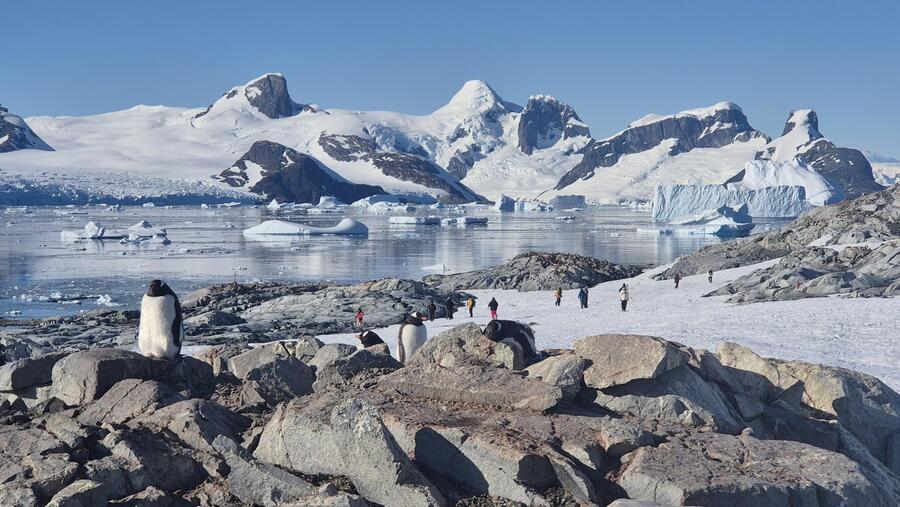 Petermann Antarctica
