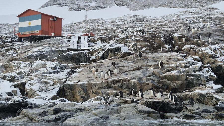 Primavera Base Antarctica Cape